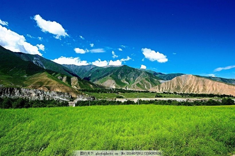 合结钢和碳结钢区别是什么（碳钢合金钢）