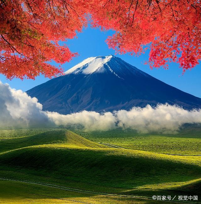 合结钢和碳结钢哪个贵（贵钢是国企吗）