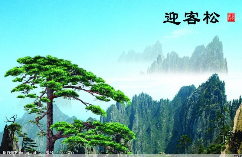 内燃机气阀钢行业(内燃机气阀机构)